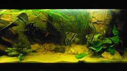 Teilnansicht des Beckens (rechte Ecke)