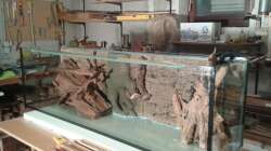 1. Deko- und Platzierungsversuche