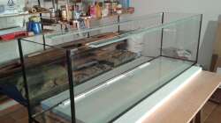 ´Roh-Becken´ mit eingeklebtem Abstandhalter für die Rückwand