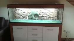 1. Schnappschuß vom platzierten Becken