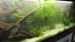 Wasser ist drin und noch klar!!!