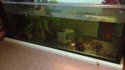 ??bergangslösung :)