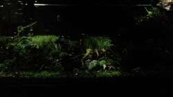 mit nacht beleuchtubg