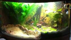 Trigon 190 nach der Umgestaltung