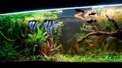 Update November 2013