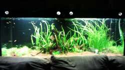 Rückseite hinter der couch