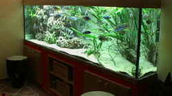 Aquarium Becken 276
