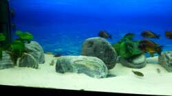 Flusskisel ca. 36 Kilo gesamt