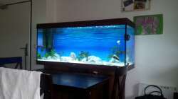 Nach 4 Tagen mit Besatz