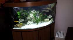Aquarium Mbuna350 Trigon