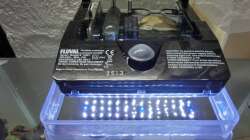 Beleuchtung + Filter