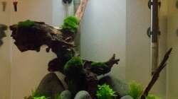  Beckenansicht nach einem Monat