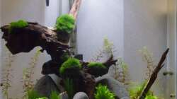 Beckenansicht 16.11.2013