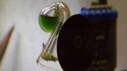 Technik im Aquarium Wirbellose Wohnzimmerdeko