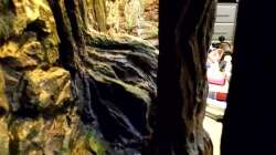 Dekoration im Aquarium New Underwater World