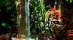 Aquarium New Underwater World