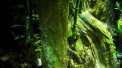 Aquarium New Underwater World