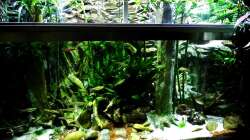 Aquarium New Underwater World