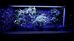 Beckenaufbau bei Nacht