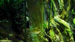 Aquarium New Underwater World