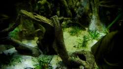 Aquarium New Underwater World