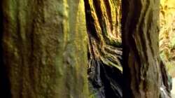 Dekoration im Aquarium New Underwater World