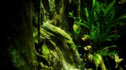 Aquarium New Underwater World