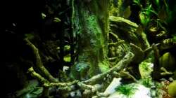 Aquarium New Underwater World