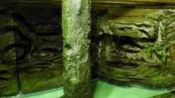 Dekoration im Aquarium New Underwater World