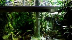 Aquarium New Underwater World