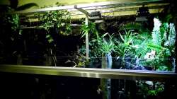 Beleuchtung: Links hängen 2 x Led Panele   Rechts  sind 2 x 10 Watt Warmweiss Led