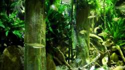 Aquarium New Underwater World