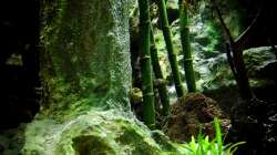 Aquarium New Underwater World