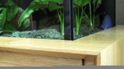 Der Schrank ist umlaufend gefast und sieht dadurch schön leicht aus. 