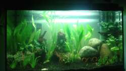 Gesamtansicht des Beckens! 