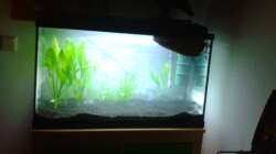 Kurz nach der Einrichtung