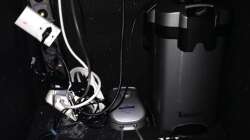 Technik im Aquarium Chrisly on Malawi