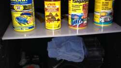 Technik im Aquarium Chrisly on Malawi