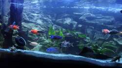 ...da noch ohne Steine auf der rechten Seite