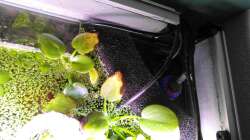 Mobiler Eck HMF / Heizstab