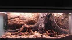 Erste Einrichtungsversuche...