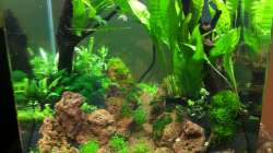 Ein paar Tage nach dem Einrichten