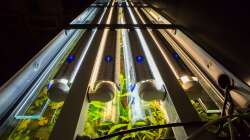 4x80 Watt mit Reflektor (Dennerle)