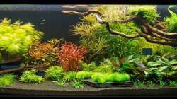 Position der Höhlen