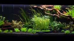 Ein Tag nach Bepflanzung 26.09.2013