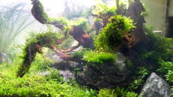 rechte Seite nach 14 Tagen