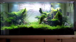 14 Tage nach der Bepflanzung