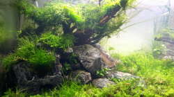 linke Seite nach 14 Tagen