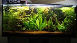 gärtnern dringend nötig