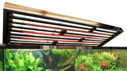 Edelstahlabdeckung (auf 20% Helligkeit gedimmt) 